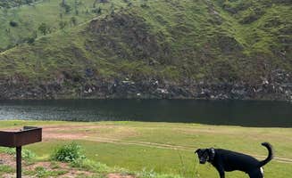 Trevor M.'s photo of camping with pets at Bagby Camping and Recreation near Stevinson, CA