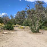 Review photo of Baker Creek Campground by Beverley G., October 11, 2026