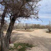 Review photo of Baker Creek Campground by Kathy B., March 29, 2025