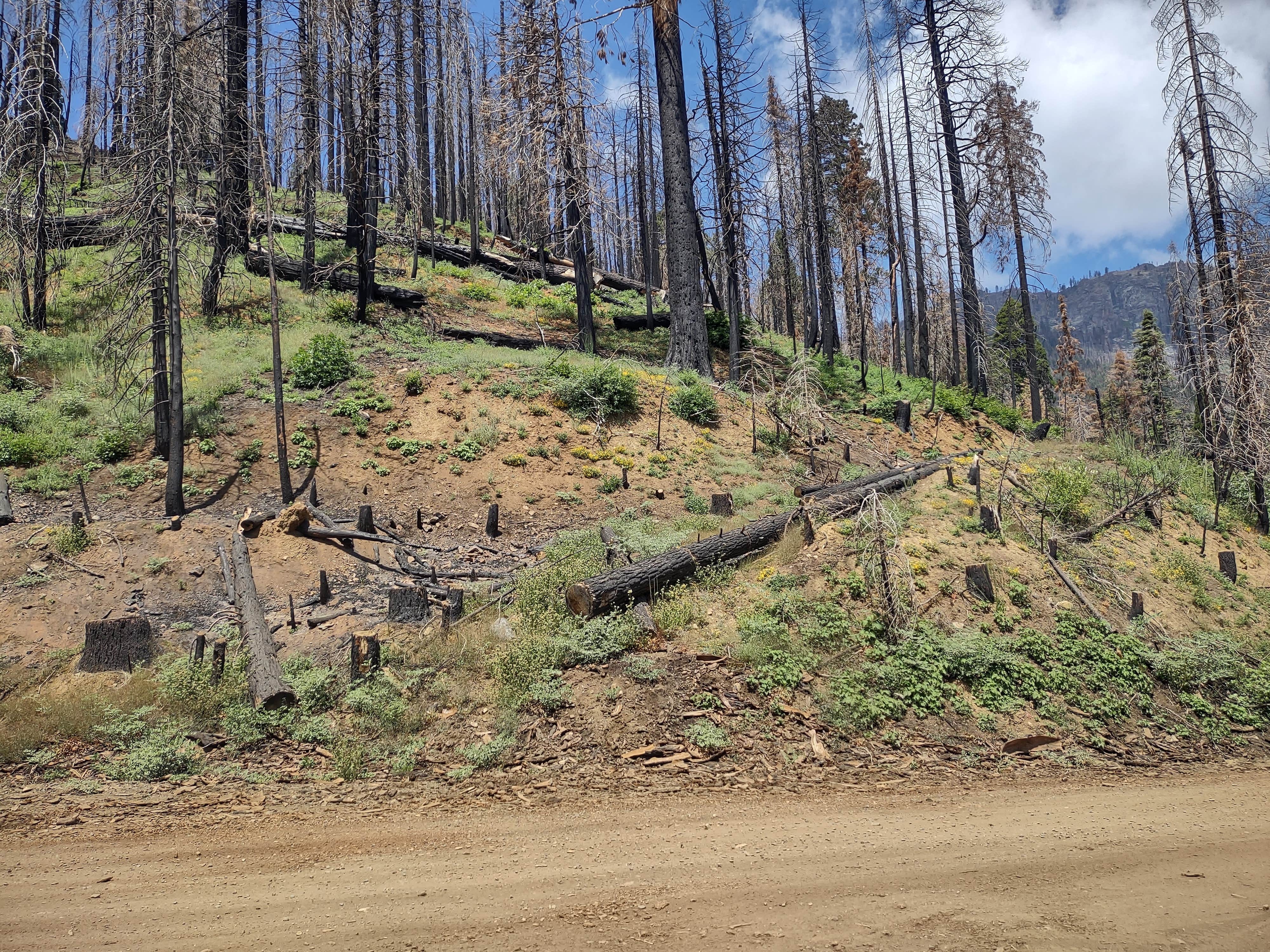 Camper-submitted photo at Balch Park Campground near Porterville, CA