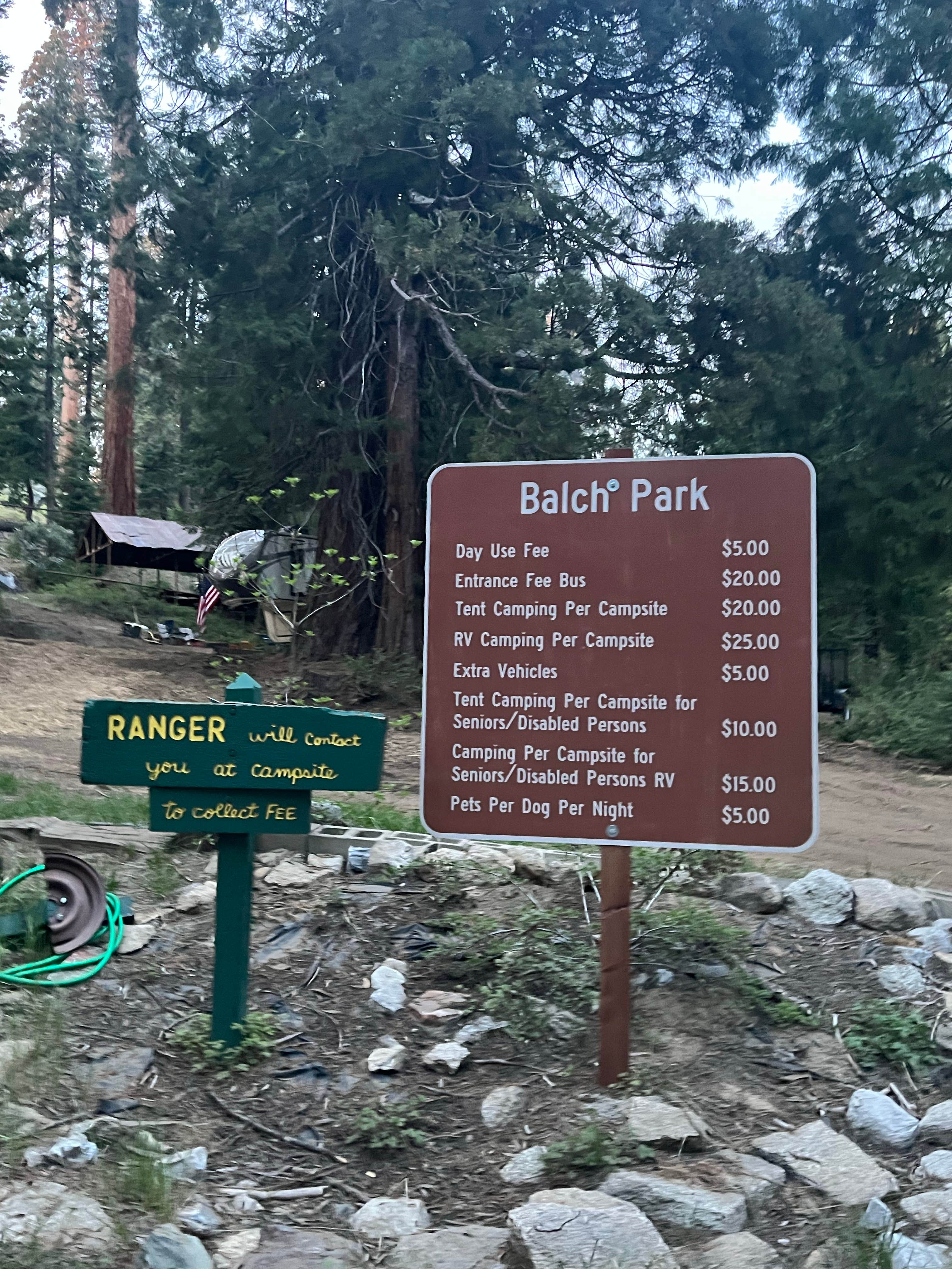 Camper submitted image from Balch Park Campground - 5