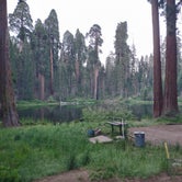 Review photo of Balch Park Campground - TEMPORARILY CLOSED by Corey C., September 22, 2023