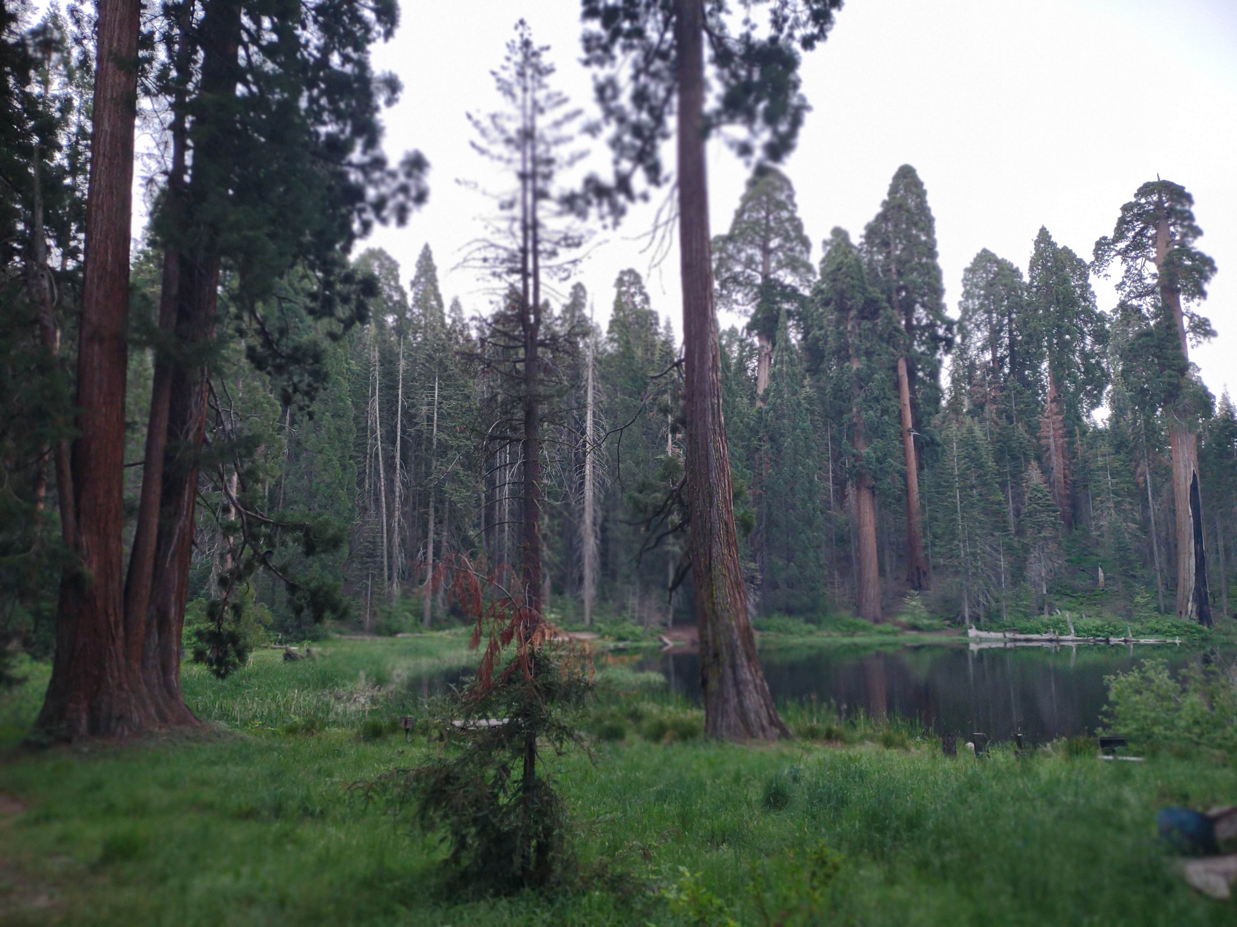 Camper-submitted photo at Balch Park Campground near Porterville, CA