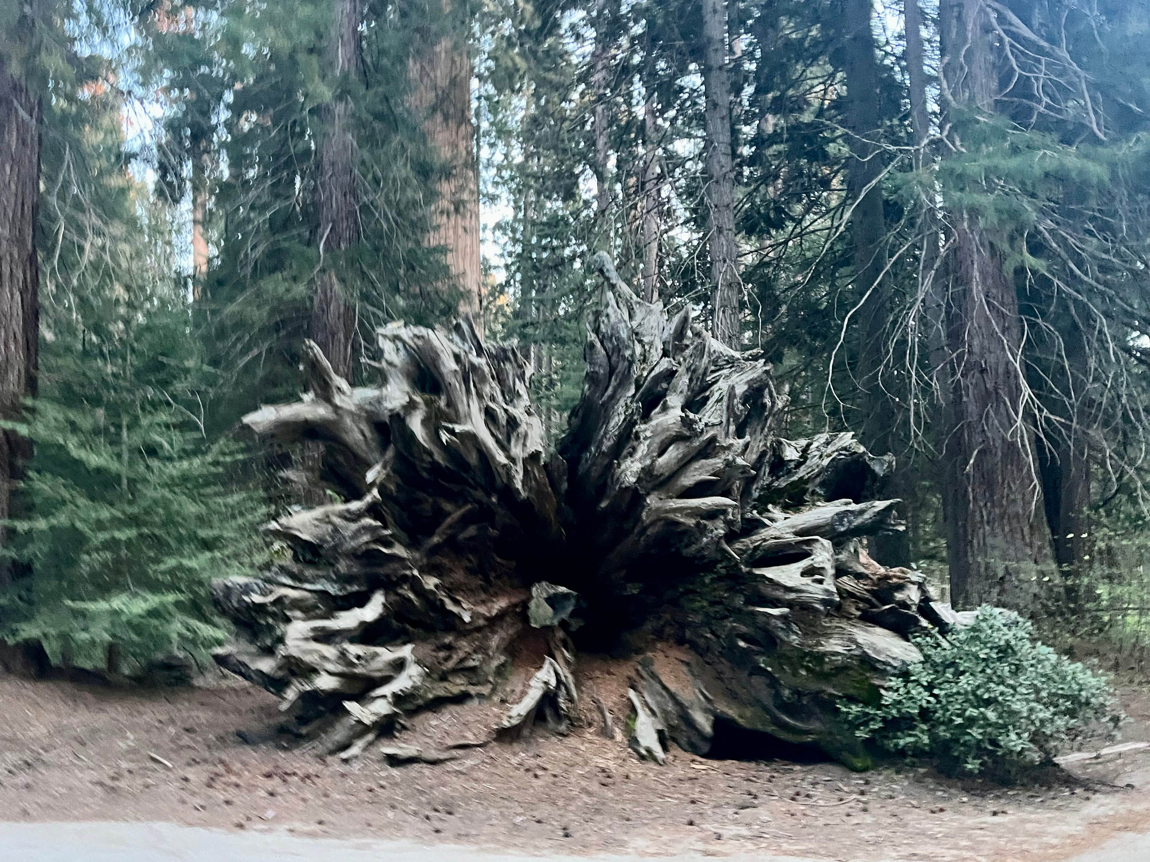 Camper-submitted photo at Balch Park Campground near Porterville, CA