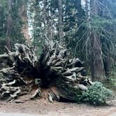 Review photo of Balch Park Campground by Stephanie F., May 27, 2025