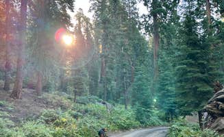 Alex's photo of camping with pets at Balch Park Campground near Sequoia National Forest