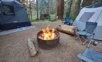 Corey C.'s photo at Balch Park Campground near Sunland, CA