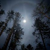 Review photo of Big Lagoon County Park by Sawyer D., March 27, 2026