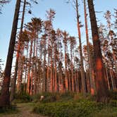 Review photo of Big Lagoon County Park by Laura H., June 18, 2025