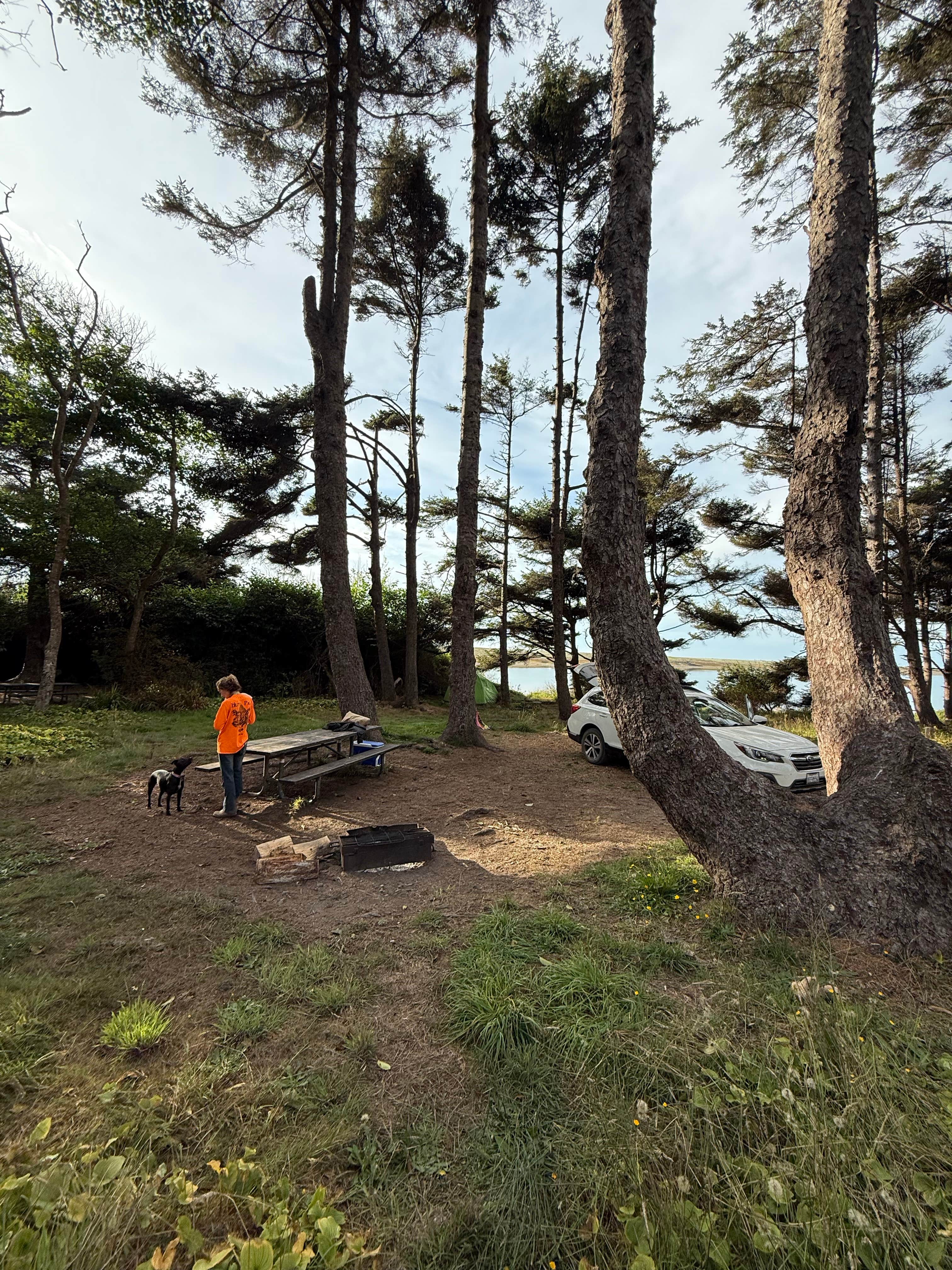 Braxton C.'s photo of camping with pets at Big Lagoon County Park near Klamath, CA