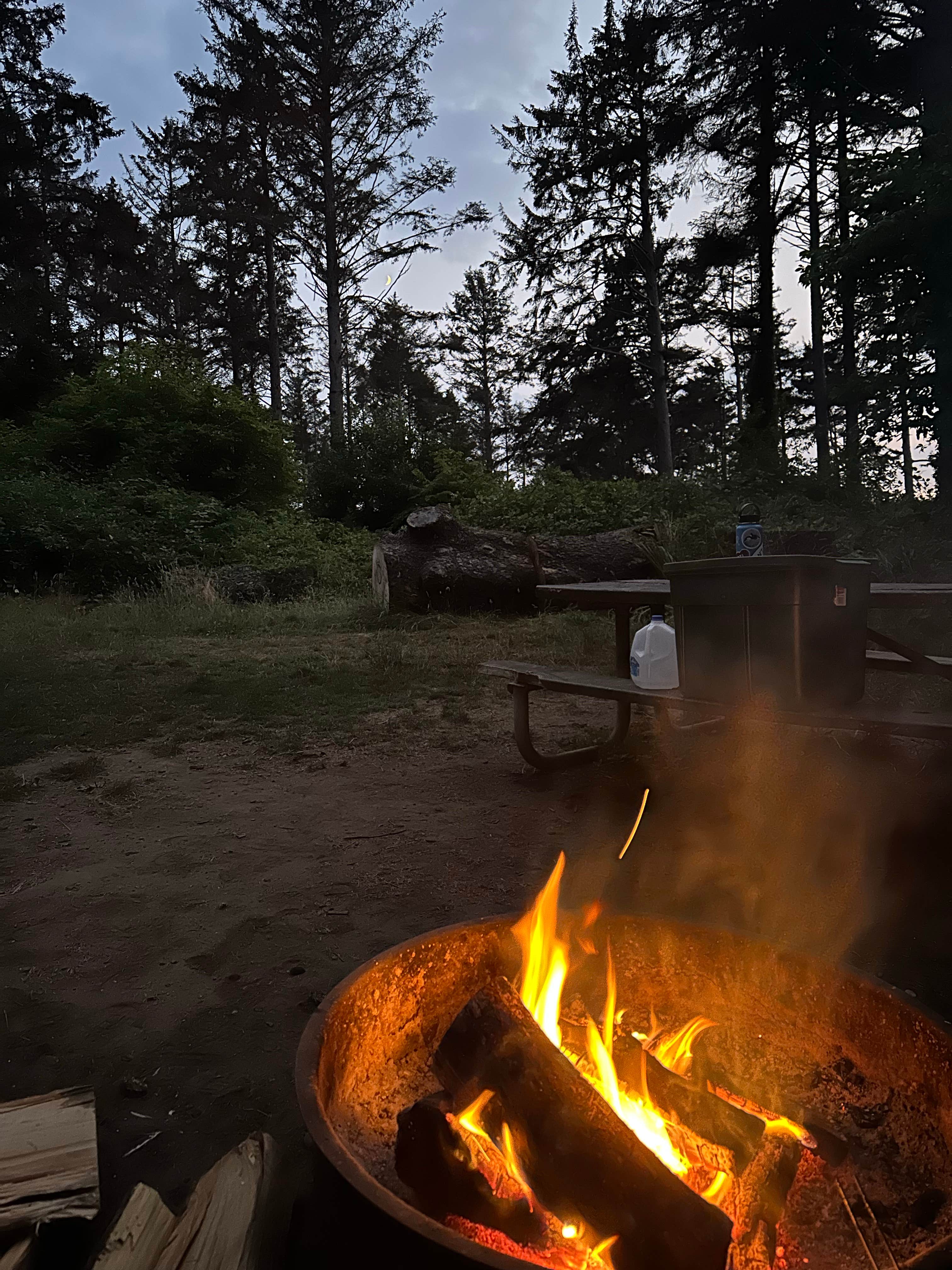 Camper submitted image from Big Lagoon County Park - 1