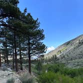 Review photo of Big Pine Creek Campground by Deb H., June 16, 2024