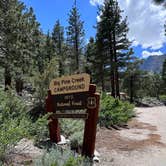 Review photo of Big Pine Creek Campground by Deb H., June 16, 2024