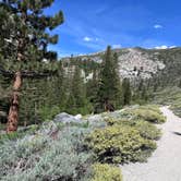 Review photo of Big Pine Creek Campground by Deb H., June 16, 2024