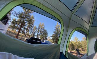 Lianne A.'s photo at Big Springs Campground near Tahoe National Forest