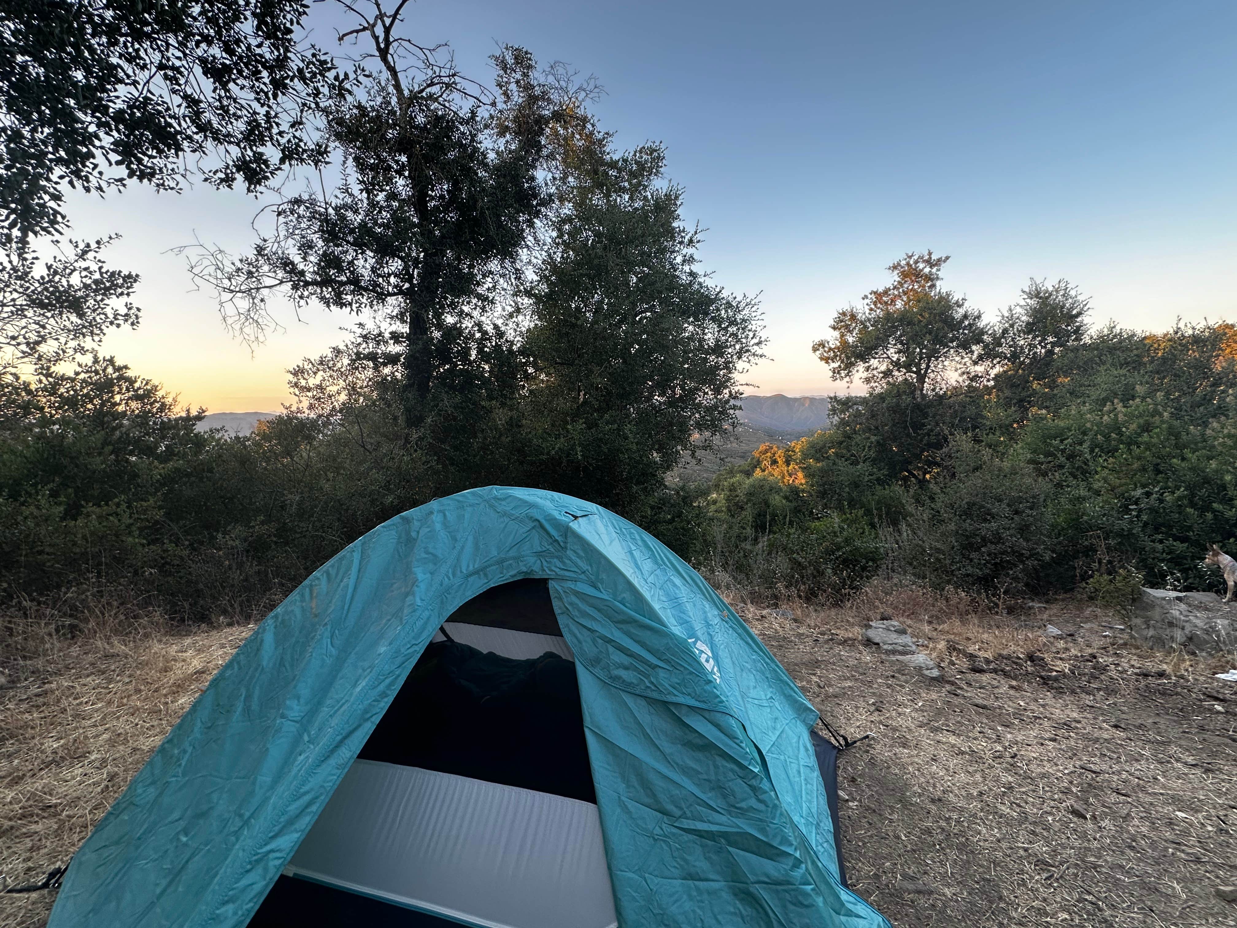 Grant M.'s photo at Blue Jay Campground - TEMPORARILY CLOSED near Norco, CA