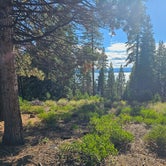 Review photo of Bogard Campground by Patricia Y., October 8, 2023