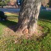 Review photo of Bogart County Park by Julie , August 12, 2025