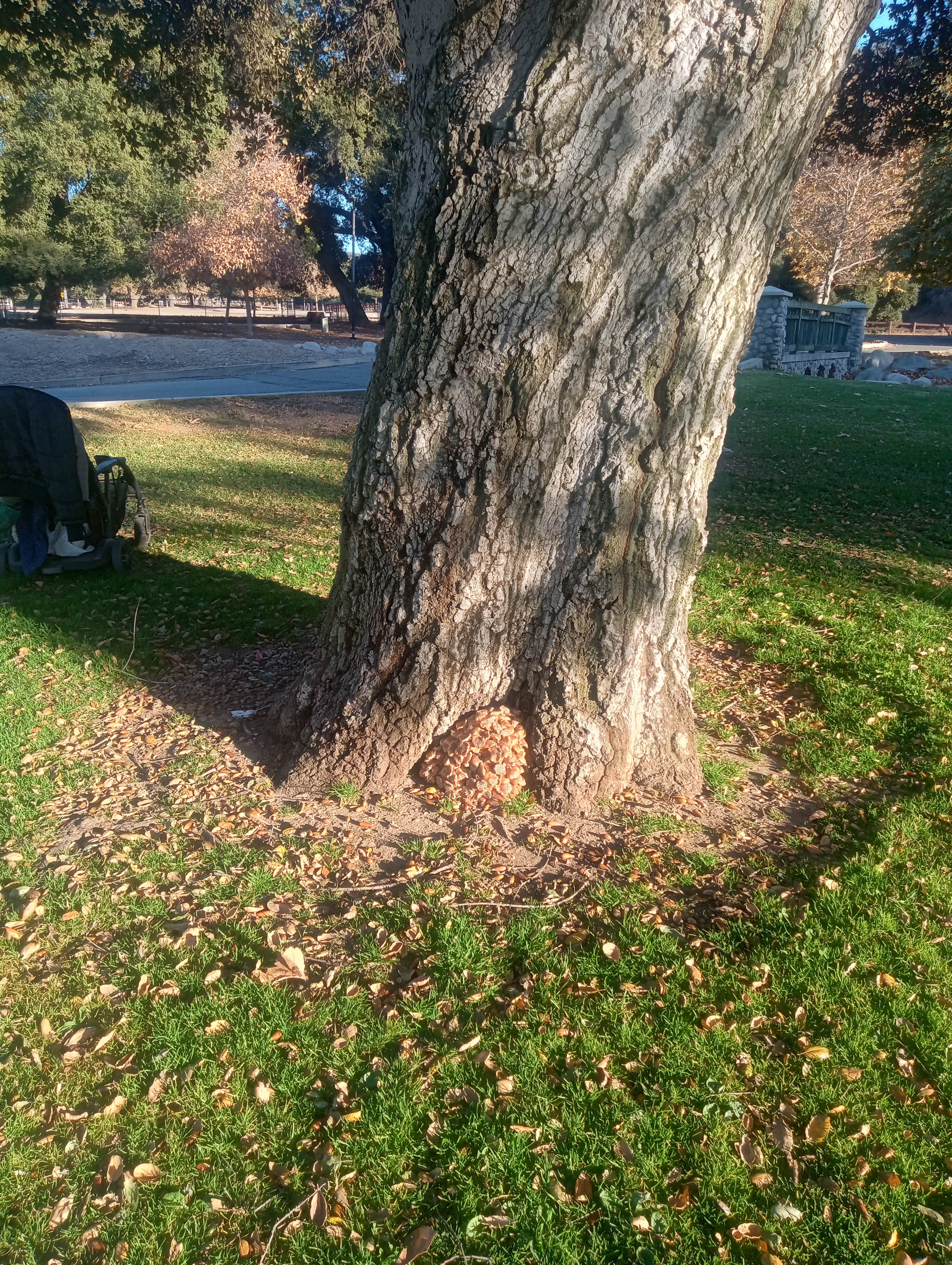 Camper submitted image from Bogart County Park - 1