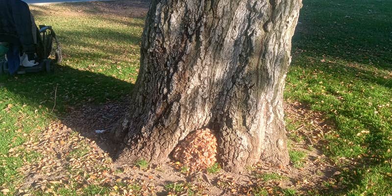 Camper submitted image from Bogart County Park