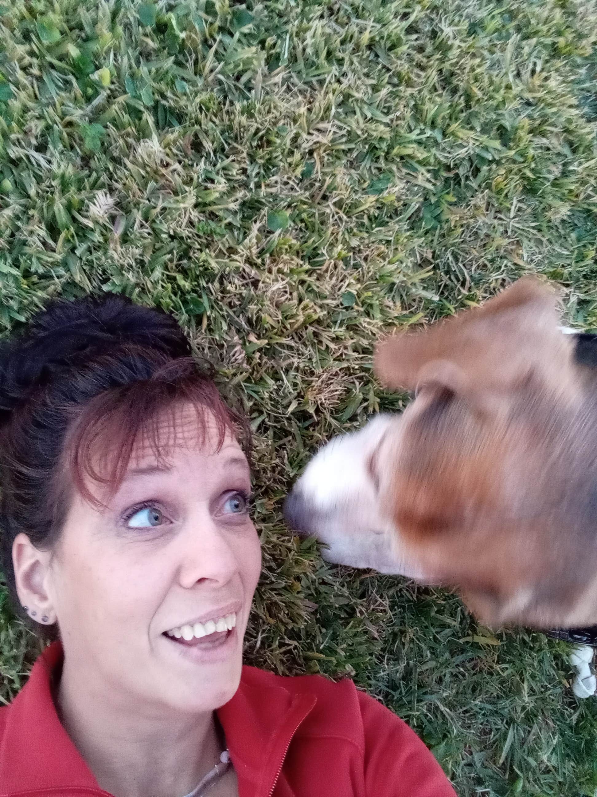 Camper-submitted photo at Bogart County Park near Forest Falls, CA