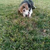 Review photo of Bogart County Park by Julie , August 12, 2025