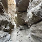 Review photo of Borrego Palm Canyon Campground — Anza-Borrego Desert State Park by barbara M., December 4, 2023