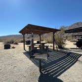 Review photo of Borrego Palm Canyon Campground — Anza-Borrego Desert State Park by Jay C., March 10, 2025