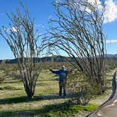 Review photo of Borrego Palm Canyon Campground — Anza-Borrego Desert State Park by Karen C., January 10, 2026