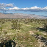 Review photo of Borrego Palm Canyon Campground — Anza-Borrego Desert State Park by Karen C., January 10, 2026