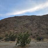 Review photo of Borrego Palm Canyon Campground — Anza-Borrego Desert State Park by Nick M., May 8, 2026