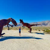 Review photo of Borrego Palm Canyon Campground — Anza-Borrego Desert State Park by rich I., November 29, 2025