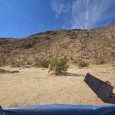 Review photo of Borrego Palm Canyon Campground — Anza-Borrego Desert State Park by Nick M., May 8, 2026