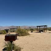 Review photo of Borrego Palm Canyon Campground — Anza-Borrego Desert State Park by Kelly C., March 18, 2026