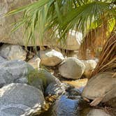 Review photo of Borrego Palm Canyon Campground — Anza-Borrego Desert State Park by barbara M., December 4, 2023