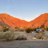 Review photo of Borrego Palm Canyon Campground — Anza-Borrego Desert State Park by barbara M., December 4, 2023