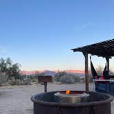 Review photo of Borrego Palm Canyon Campground — Anza-Borrego Desert State Park by barbara M., December 4, 2023