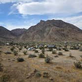 Review photo of Borrego Palm Canyon Campground — Anza-Borrego Desert State Park by Nick M., May 8, 2026