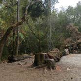 Review photo of Ritchey Creek Campground — Bothe-Napa Valley State Park by Emma R., September 25, 2024