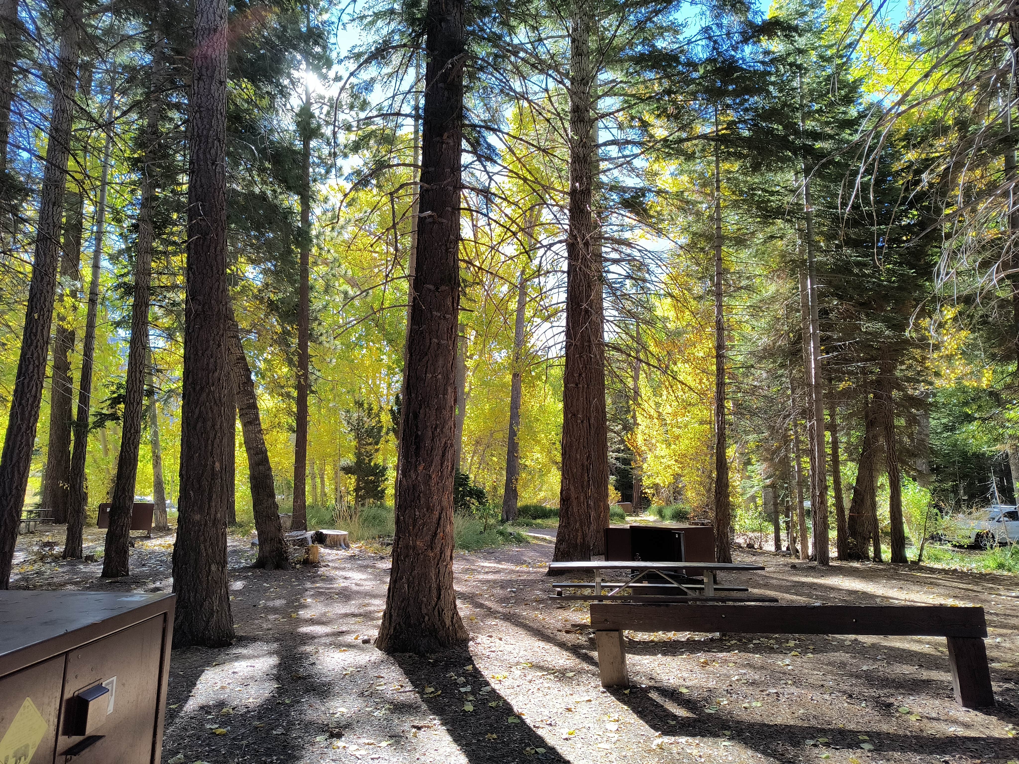 Camping near Aspen Campground: Boulder, Lee Vining, California