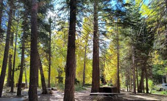Camping near Ellery Campground: Boulder, Lee Vining, California