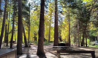 Camping near Tuolumne Meadows Campground — Yosemite National Park: Boulder, Lee Vining, California