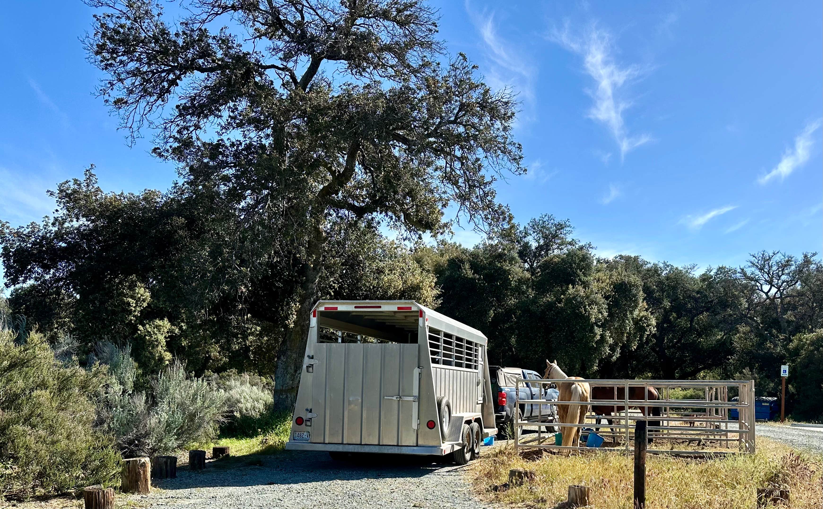 Beth W.'s photo of camping with a horse at Boulder Oaks Eqst near Ranchita, CA