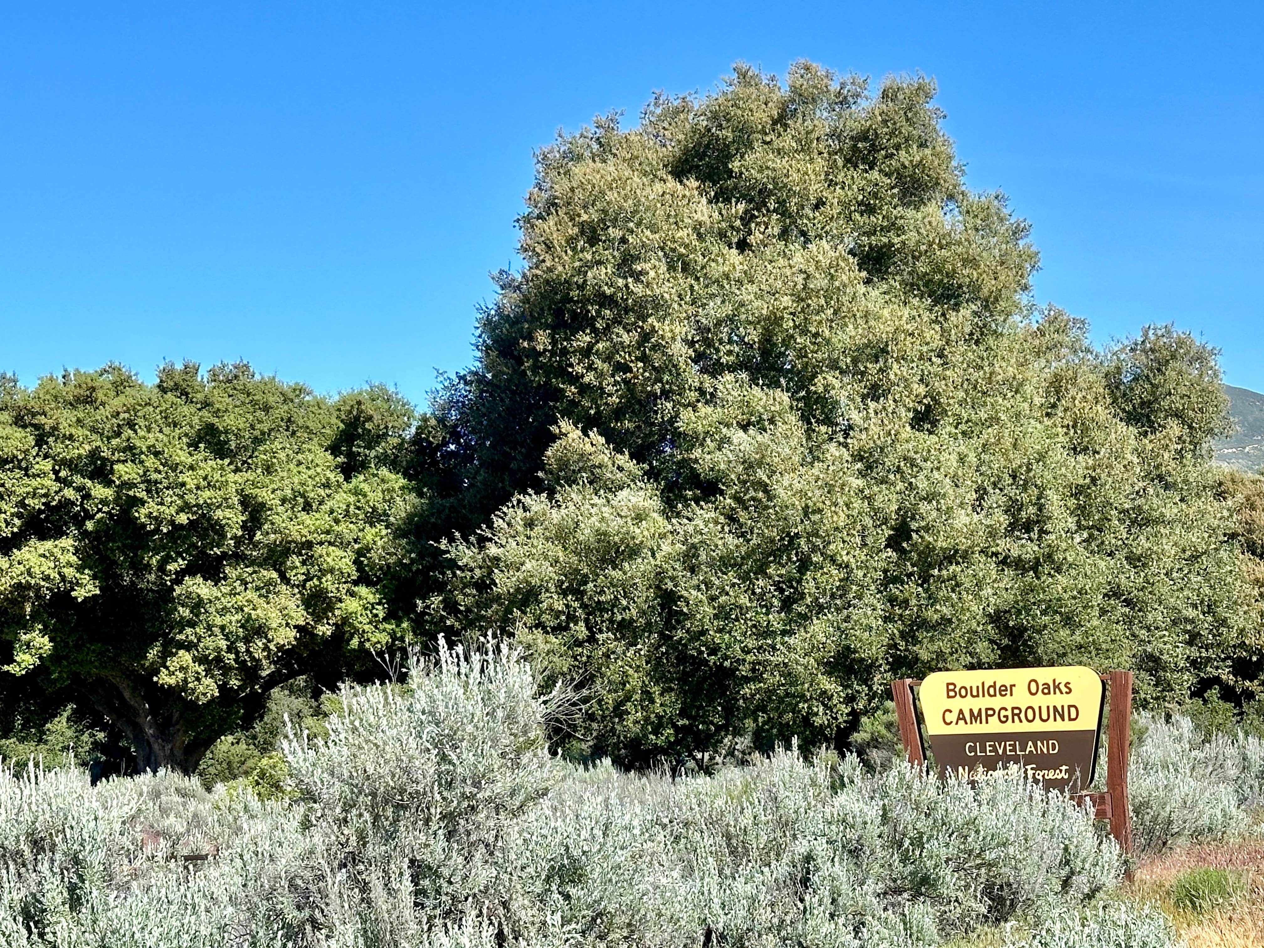 Camping near Lark Canyon Campground: Boulder Oaks Eqst, Campo, California