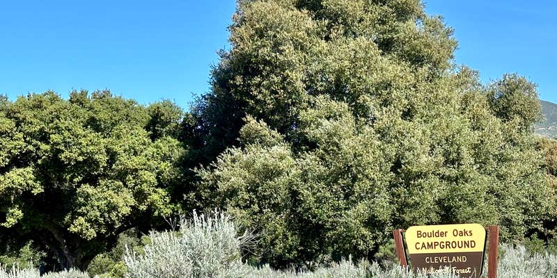 Camper submitted image from Boulder Oaks Eqst