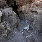 Review photo of Box Canyon Dispersed by Christie S., February 6, 2026