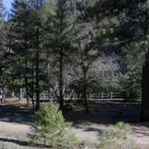 Review photo of Bridge Flat Campground by Kristen F., June 23, 2026