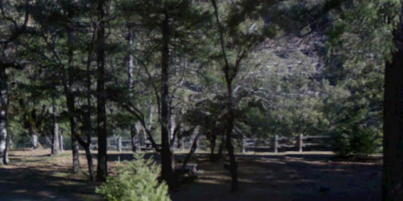 Camper submitted image from Bridge Flat Campground