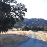 Review photo of Cache Creek Regional Park Campground by Kevin C., October 15, 2025