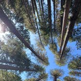 Review photo of North Grove Campground — Calaveras Big Trees State Park by harry S., October 8, 2024